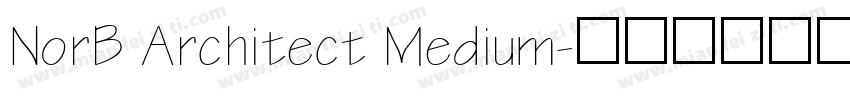 NorB Architect Medium字体转换